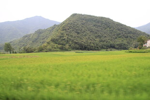 绿野青山间的田园风光