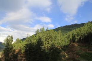 青山绿树间的蓝天白云