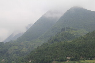 云雾缭绕的翠绿山峦