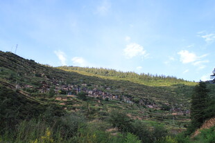 山坡绿意风景图