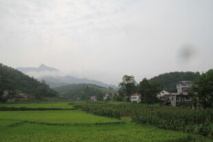 乡村田野风光美景