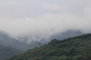 云雾缭绕的青山美景