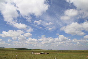 草原风光 蓝天白云下的牧场