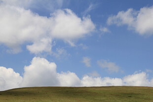蓝天绿草间的悠然景致