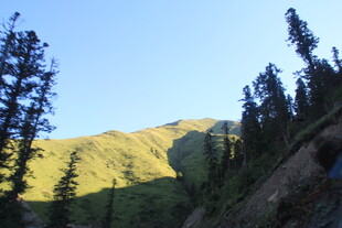 山间美景 阳光洒落山林