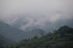 山间云雾缭绕的秀丽景致