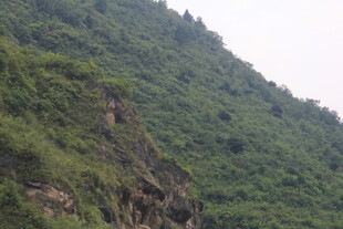 青山葱郁的陡峭山坡