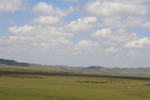 广袤草原与蓝天白云景致