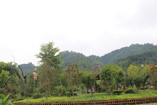 山间多彩田园风光