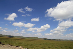 蓝天白云下的广袤草原