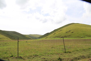 草原风光 简易围栏