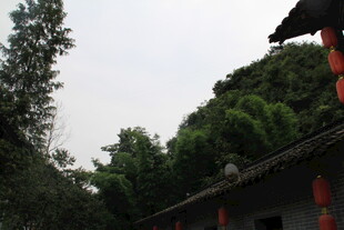 古宅旁的葱郁树木与红灯笼