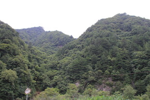 青山葱郁的山间美景