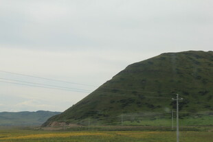 青山下的田野风光