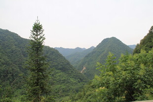 青山绿树间的秀丽山景