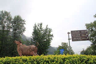 户外牛雕塑与指示牌景观