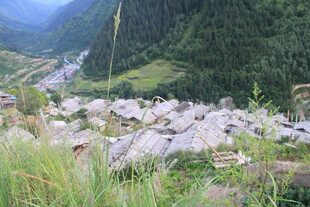 山间碎石堆与葱郁植被