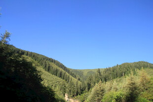 青山蓝天间的葱郁山林