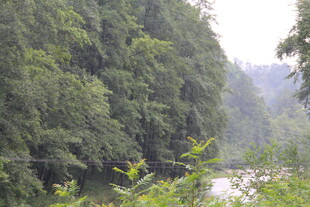 山林间的静谧河流景色