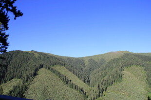 青山蓝天间的秀丽山林