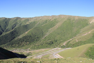 山间蜿蜒公路美景