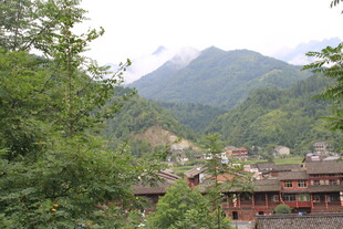 山间村落隐于葱郁林木间