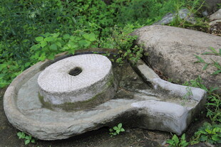 古老石磨静置于绿意中