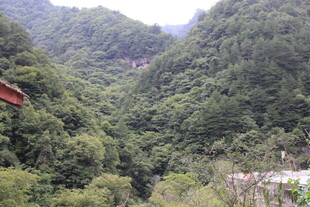 青山葱郁的山间景致