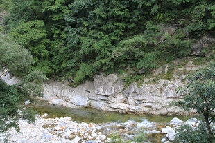 山间溪流 绿意盎然的景致