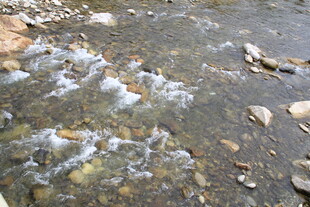 潺潺溪流中的多彩石块