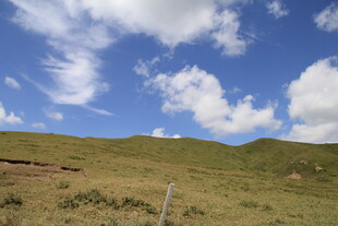 草原蓝天风景图