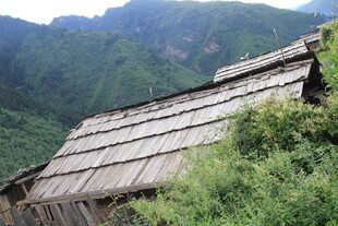 山间木屋隐于葱郁绿意中