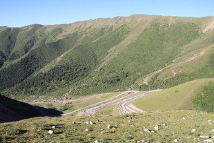 山间蜿蜒公路 绿意盎然