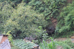 山间绿意盎然的田园景致