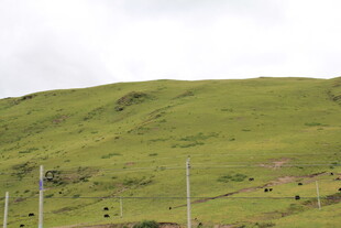 绿色山坡上的电力设施