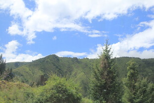 青山蓝天绿树自然美景