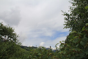 山林间的多云天空