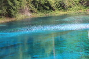 清澈蓝湖映翠景