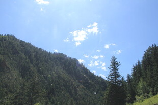 青山蓝天间的葱郁山林