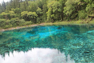 梦幻蓝湖 森林环绕的美景