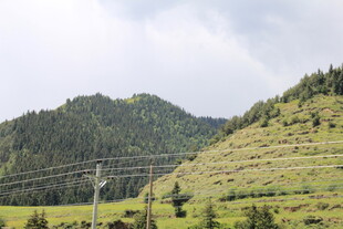 山坡上的电力设施与绿植