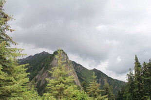 巍峨青山松林环绕