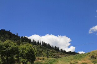 蓝天白云下的翠绿山坡