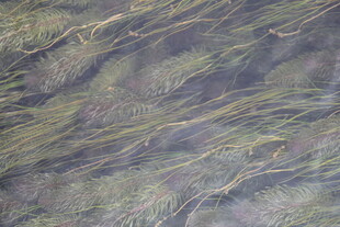 纹理独特的斑驳岩石表面