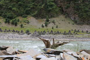 河畔孤鸟与嶙峋石块景观