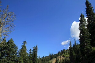 山林蓝天间的清新景致