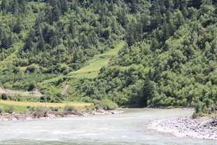 山间河流旁的翠绿景致