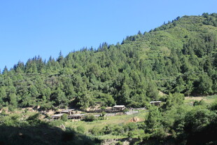 青山环抱中的宁静村落