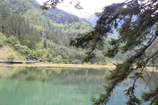 山间碧绿湖水与葱郁林木