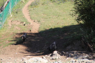 户外山地徒步场景